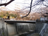 加賀橋全景.JPG