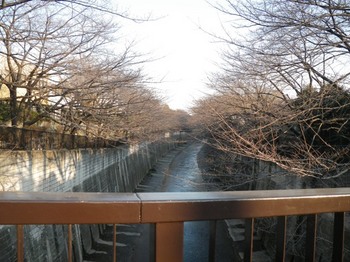 加賀橋から石神井川.JPG